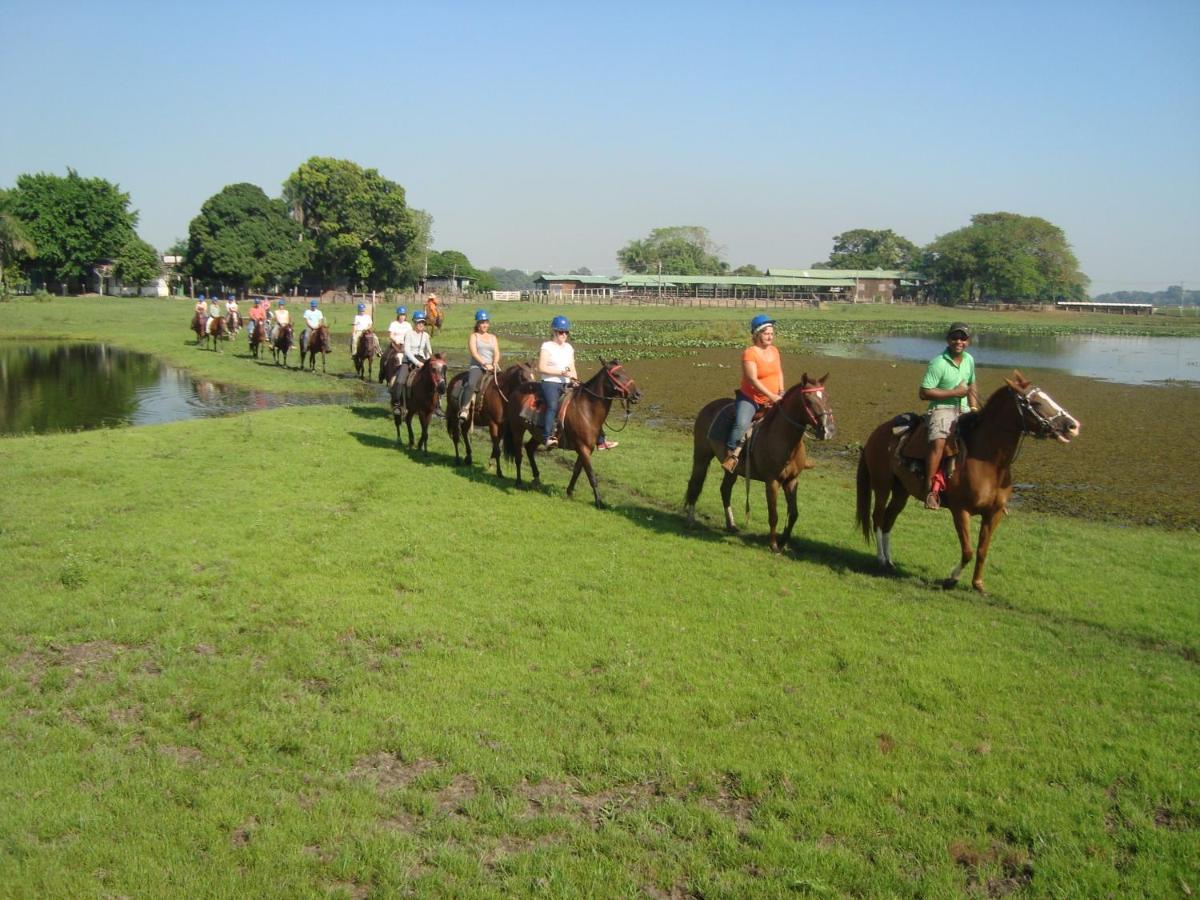 Pantanal Jungle Lodge Passo do Lontra Kültér fotó