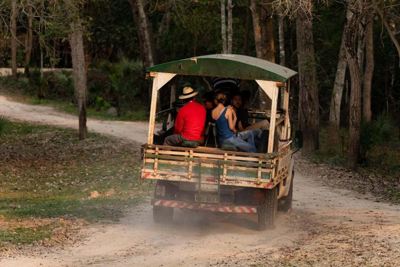 Pantanal Jungle Lodge Passo do Lontra Kültér fotó