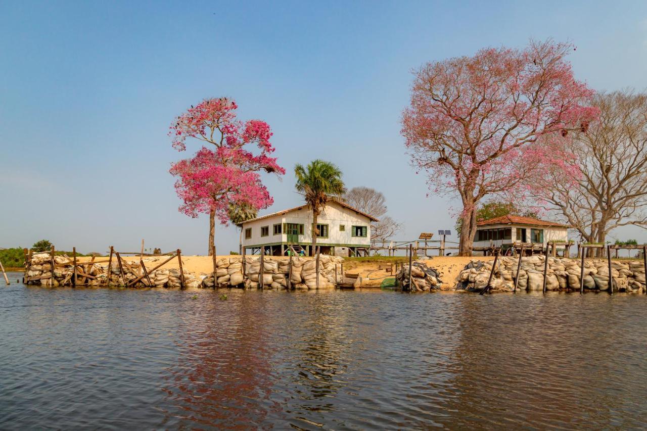 Pantanal Jungle Lodge Passo do Lontra Kültér fotó