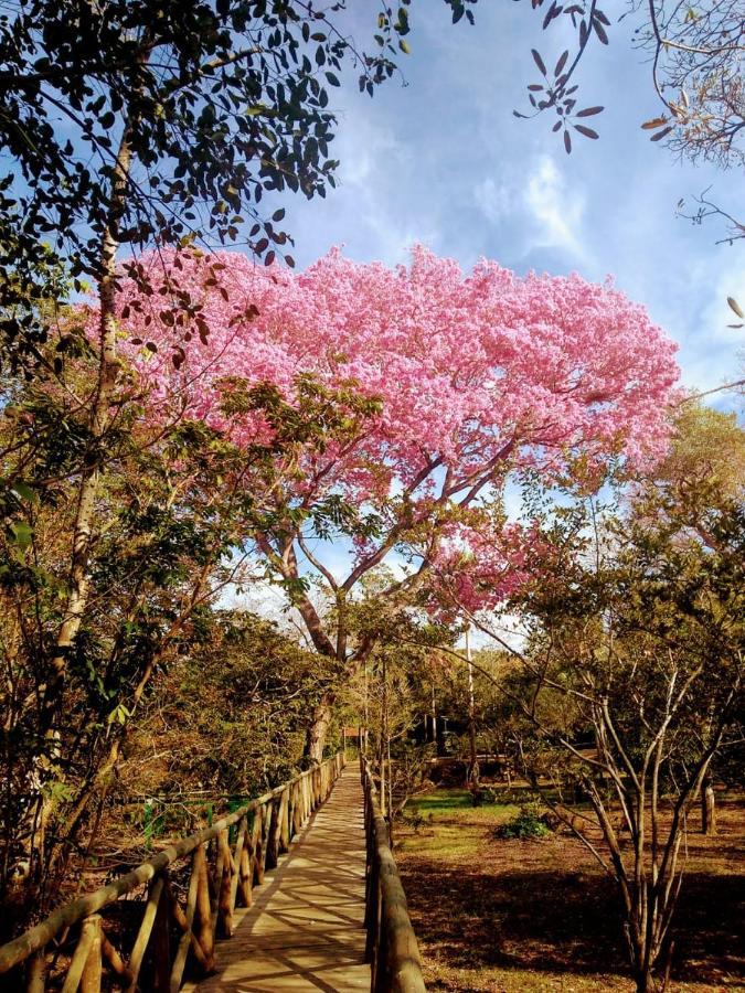 Pantanal Jungle Lodge Passo do Lontra Kültér fotó